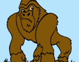 Dibuix Goril·la pintat per aalbaa
