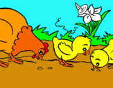 Dibuix Gallina i pollets pintat per AINA  1049