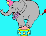 Dibuix Elefant sobre una pilota pintat per mmagdalena