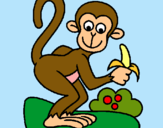 Dibuix Mono pintat per Laia