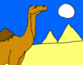 Dibuix Camell pintat per Clara *