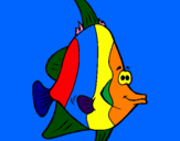 Dibuix Peix tropical pintat per marc