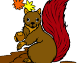 Dibuix Esquirol pintat per escirol