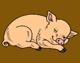 Dibuix Porc dormint pintat per CLARA
