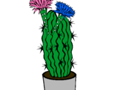 Dibuix Cactus amb flors pintat per MARGA