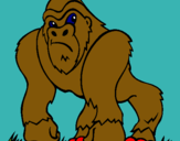 Dibuix Goril·la pintat per jordi muñoz 