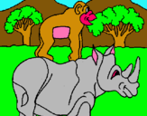 Dibuix Rinoceront i mono pintat per joan