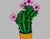 Dibuix Flors de cactus pintat per Lidia