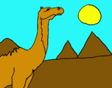 Dibuix Camell pintat per jar jar binks