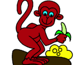 Dibuix Mono pintat per mico  perico