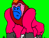 Dibuix Goril·la pintat per amalia