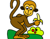 Dibuix Mono pintat per silvia