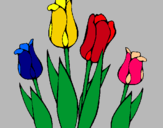 Dibuix Tulipes pintat per MARGA
