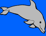 Dibuix Dofí content pintat per dolfí