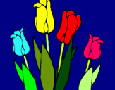 Dibuix Tulipes pintat per JUDITH