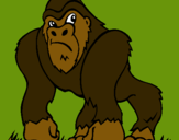 Dibuix Goril·la pintat per weli tracson escuvidu