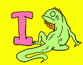 Dibuix Iguana pintat per tmma