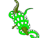 Dibuix Anaconda i caiman pintat per david