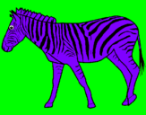 Dibuix Zebra pintat per oczwtrtygtfffo0`k ug