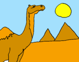 Dibuix Camell pintat per melania,y