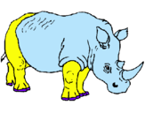 Dibuix Rinoceront pintat per anònim