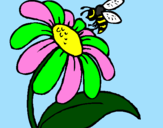 Dibuix Margarida amb abella pintat per Mireia Codina