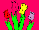 Dibuix Tulipes pintat per laura    rams        diaz