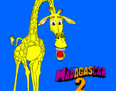 Dibuix Madagascar 2 Melman pintat per joel   dones