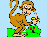 Dibuix Mono pintat per AINHOA