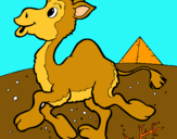 Dibuix Camell pintat per abril