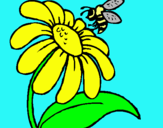 Dibuix Margarida amb abella pintat per jaume p