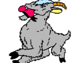 Dibuix Cabra pintat per eric  juanola  puigvert