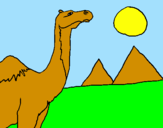 Dibuix Camell pintat per ANDREA RIALP