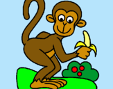 Dibuix Mono pintat per Natàlia