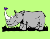 Dibuix Rinoceront i Papallona pintat per oriol juncosa salla