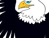 Dibuix Àguila Imperial Romana pintat per ada