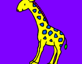 Dibuix Girafa pintat per  marina