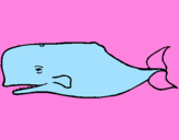 Dibuix Balena blava pintat per JÚLIA