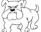 Dibuix Gos bulldog pintat per sergi