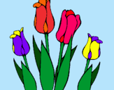 Dibuix Tulipes pintat per Andreu