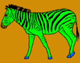 Dibuix Zebra pintat per Maria