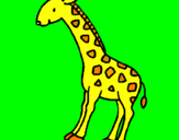 Dibuix Girafa pintat per mimu