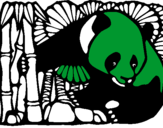 Dibuix Ós Panda i Bambú pintat per anònim