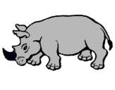 Dibuix Rinoceront pintat per  troi  