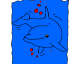 Dibuix Dofí pintat per irina