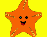 Dibuix Estrella de mar pintat per Júlia B.C