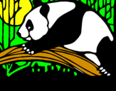 Dibuix Ós panda menjant pintat per stephanie  cancel   roman