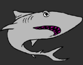 Dibuix Tiburón pintat per nuria