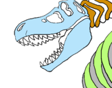 Dibuix Esquelet tiranosauri rex pintat per nil