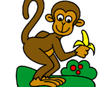 Dibuix Mono pintat per anònim